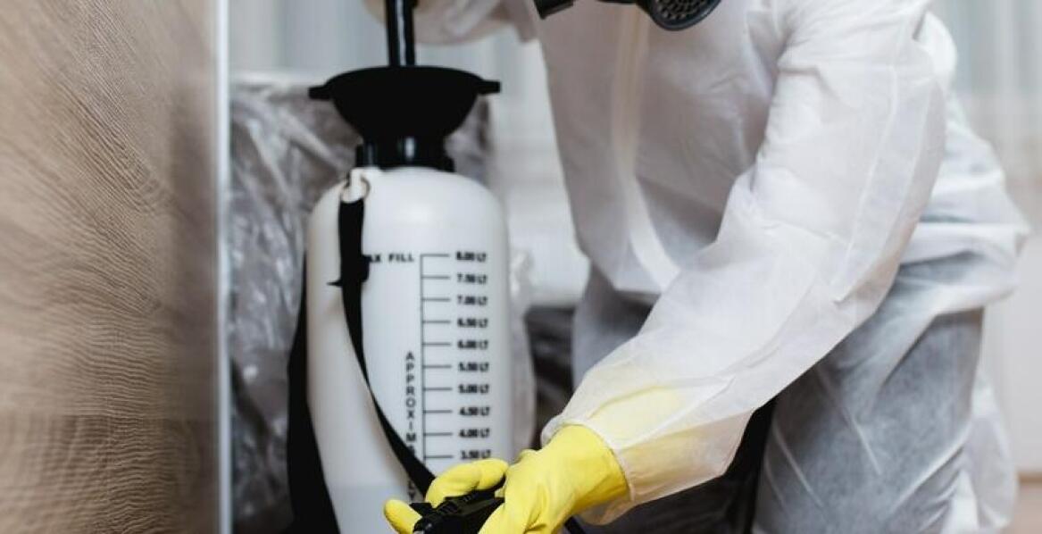 Efektywność zintegrowanych strategii w likwidacji szczurów