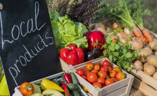 W jaki sposób dystrybutorzy żywności ekologicznej dbają o zrównoważony rozwój?