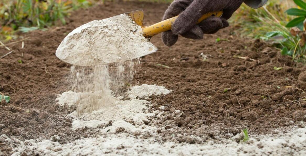 Rola mulczu celulozowego w procesie rekultywacji gleby