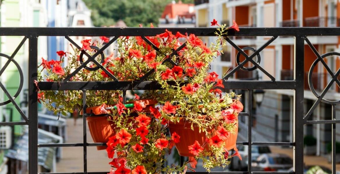 Skrzynka balkonowa wisząca a optymalne wykorzystanie przestrzeni na balkonie