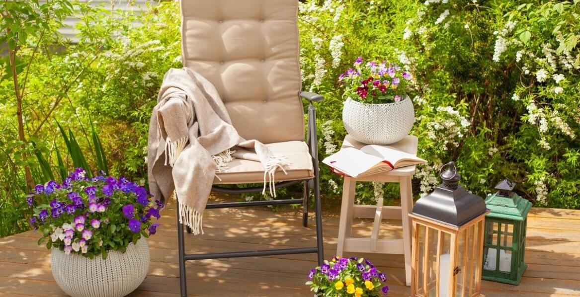 Jakie donice wybrać do uprawy roślin balkonowych?