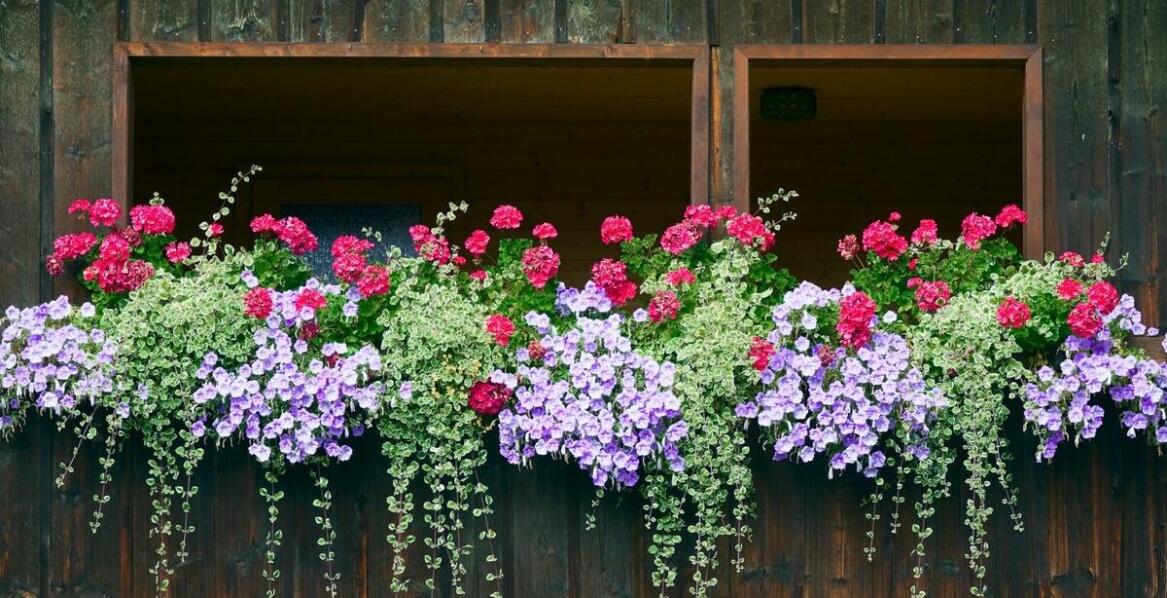 Skrzynka na kwiaty balkonowa: wpływ koloru na aranżację przestrzeni