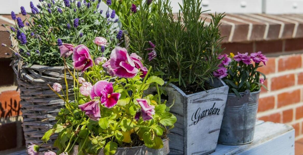Wybór skrzynki balkonowej na kwiaty - co warto wiedzieć?