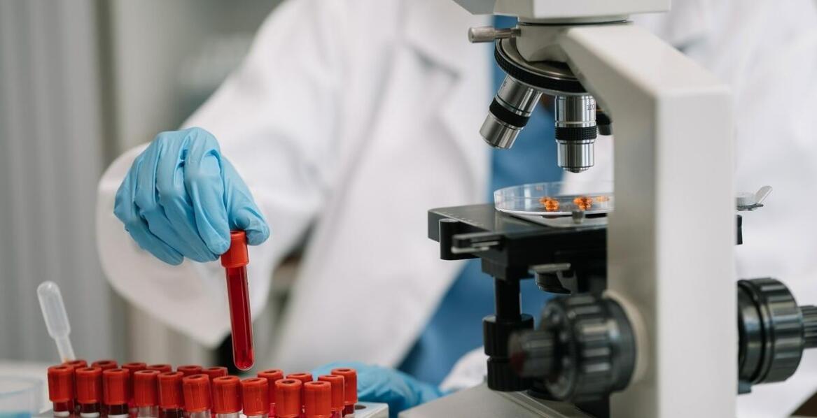 Jakie korzyści niesie analiza polimorfizmu dla badań naukowych?