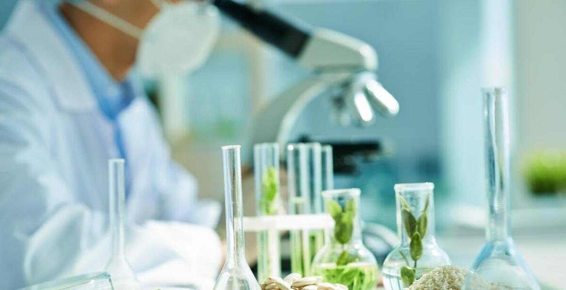 Rola testów laboratoryjnych w zapewnieniu jakości karmy dla dzikich ptaków