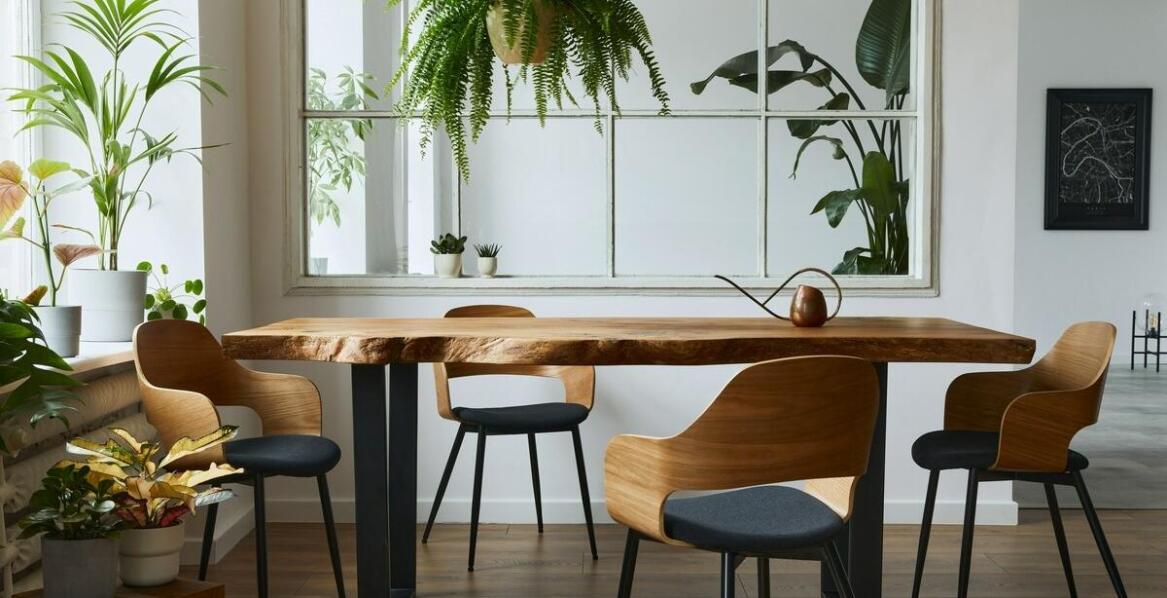 Rola architekta wnętrz w tworzeniu przyjaznych środowisku projektów