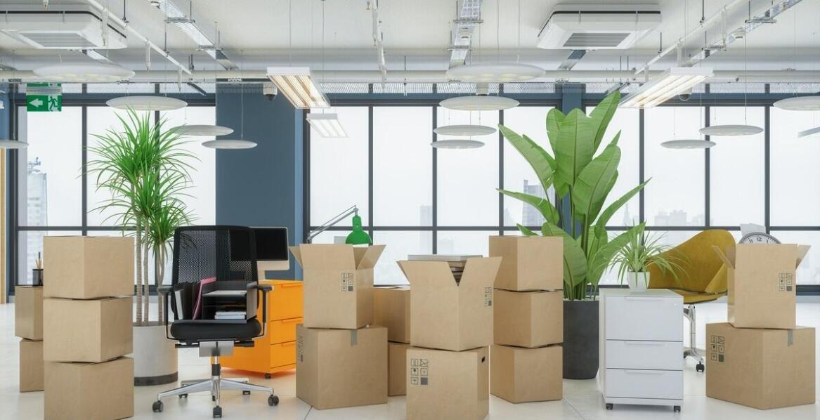 Jakie są najlepsze praktyki ochrony przed prusakami w miejscach pracy?