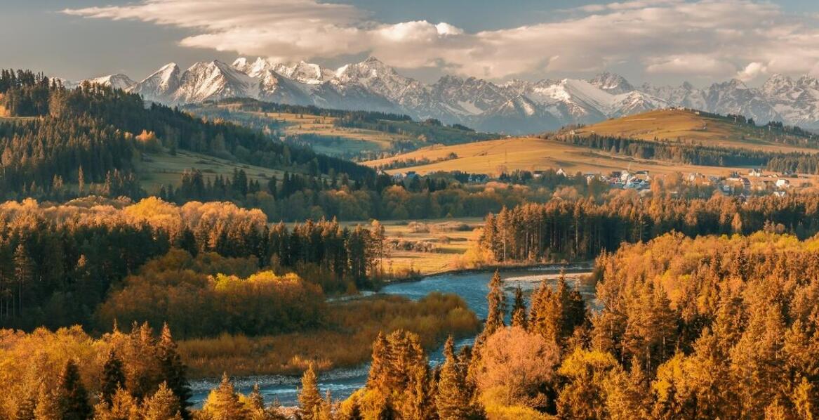 Rola mis tybetańskich w procesie wzmacniania sił samo uzdrawiających