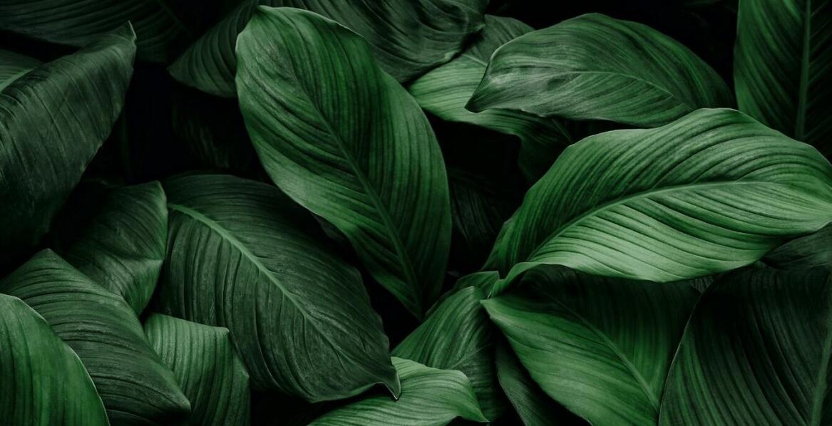 Krzem jako wsparcie w walce z przewlekłym zmęczeniem