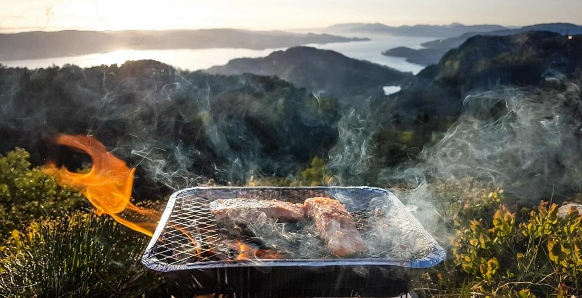 Grill elektryczny do ogrodu jako ekologiczna alternatywa dla tradycyjnych grilli