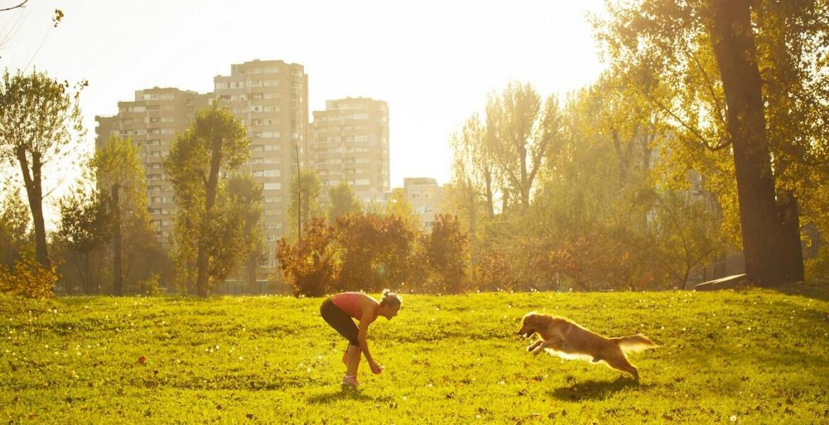 Jak karma Eden wspomaga aktywność fizyczną psów ras małych?