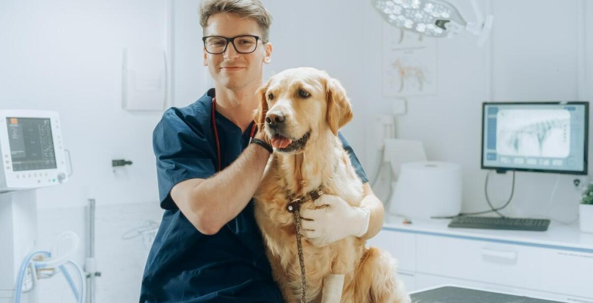 Dermatologia psów – najczęstsze schorzenia skóry i metody leczenia