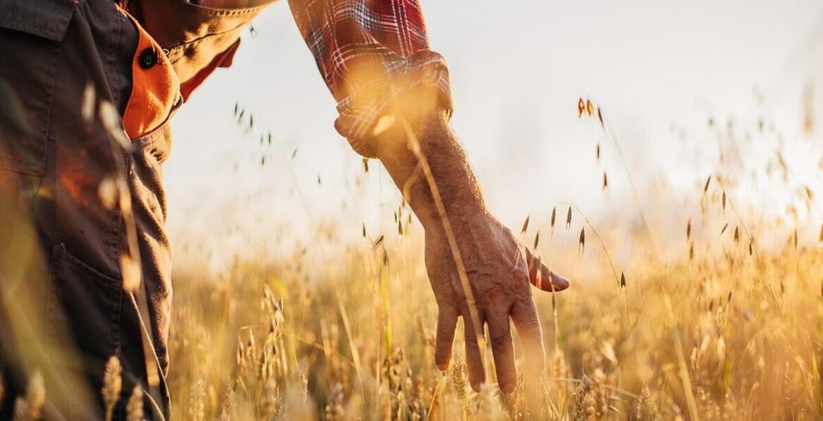 Poradnik: jak przygotować się do sezonu oprysków na gryke?