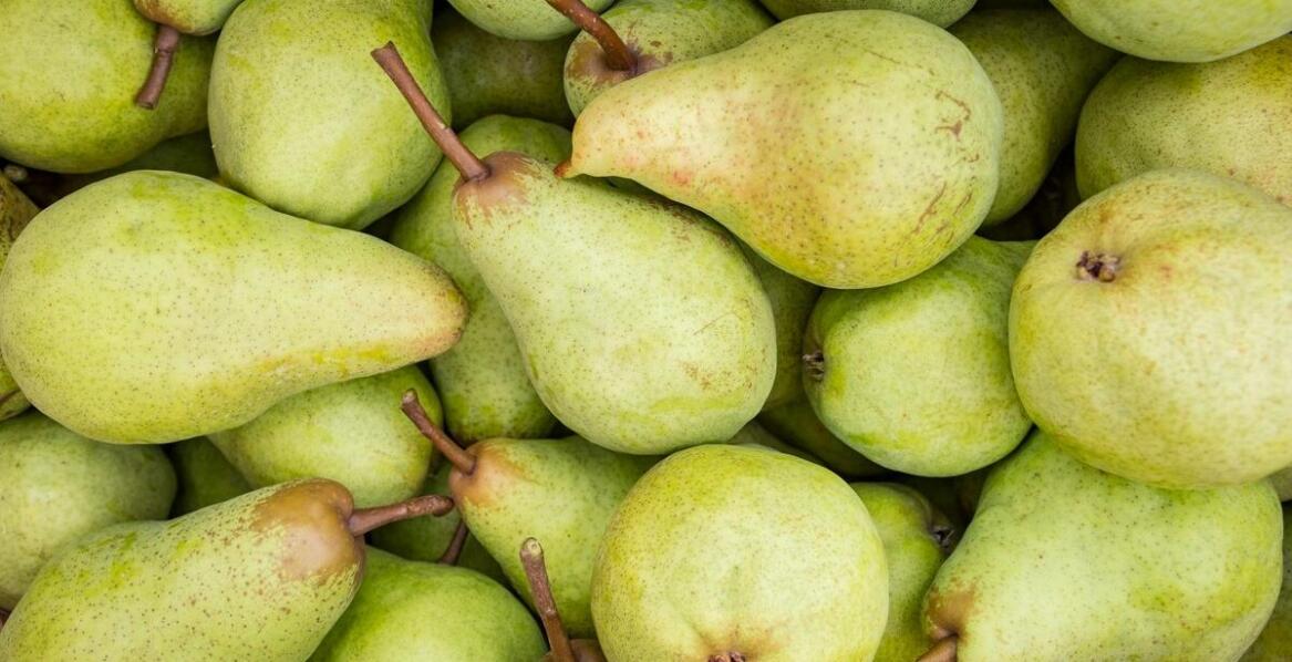 Pigwa gruszkowa – pochodzenie, właściwości i ciekawe fakty o owocu