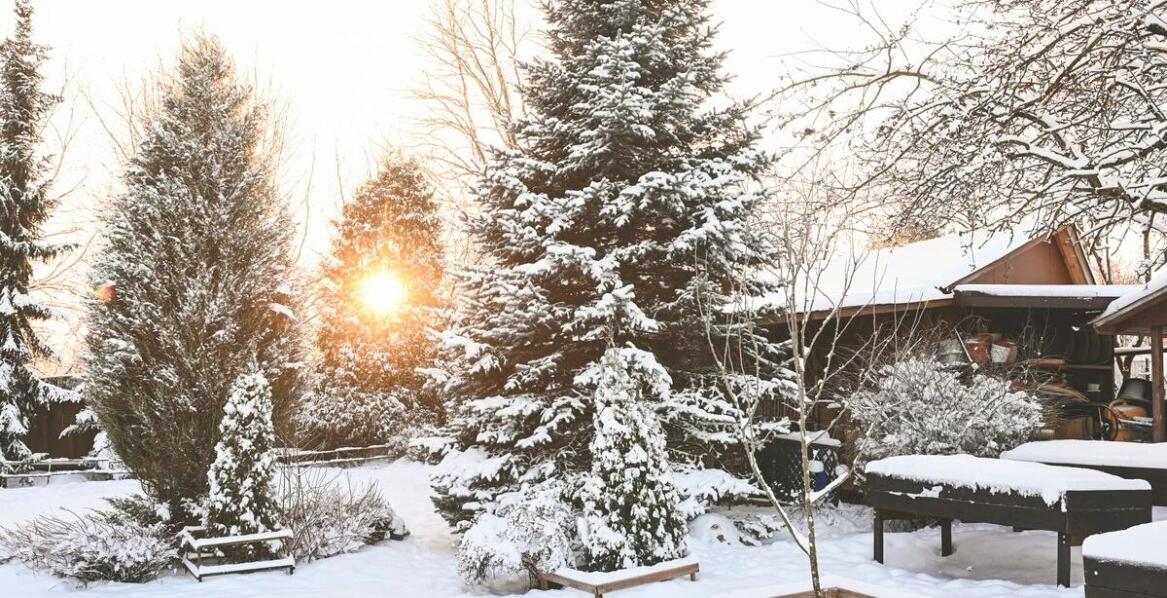 Ogrody zimowe – inspiracje, zalety i możliwości aranżacji przestrzeni