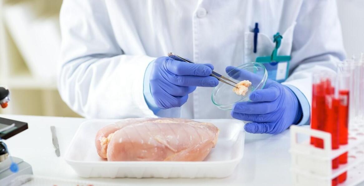 Jak ustalane są alimenty i jakie prawa przysługują stronom w sprawie