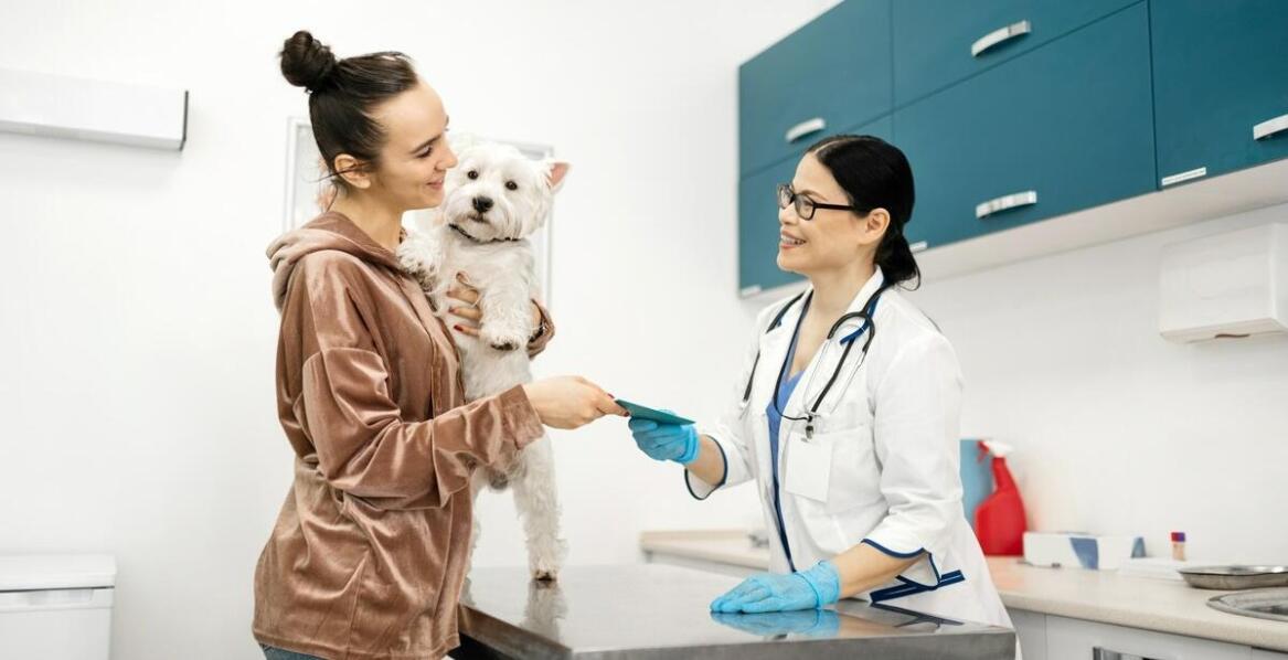 Najważniejsze badania diagnostyczne zwierząt – co warto wiedzieć o opiece