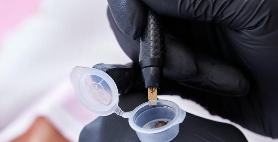 Objawy i skutki obecności grzybów w budynkach – co warto wiedzieć