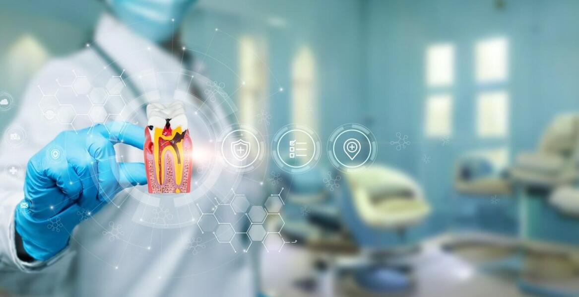 Wpływ grzybów na stan budynków – najważniejsze fakty i metody zwalczania