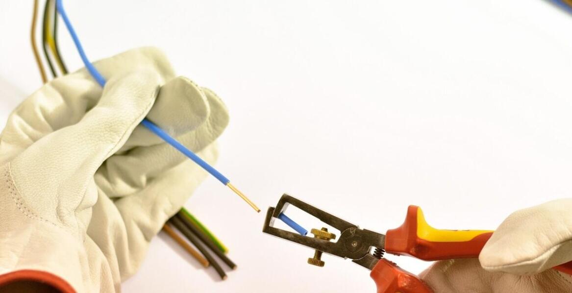 Kiedy warto skorzystać z pomocy mykologa i jak przebiega taka ekspertyza?