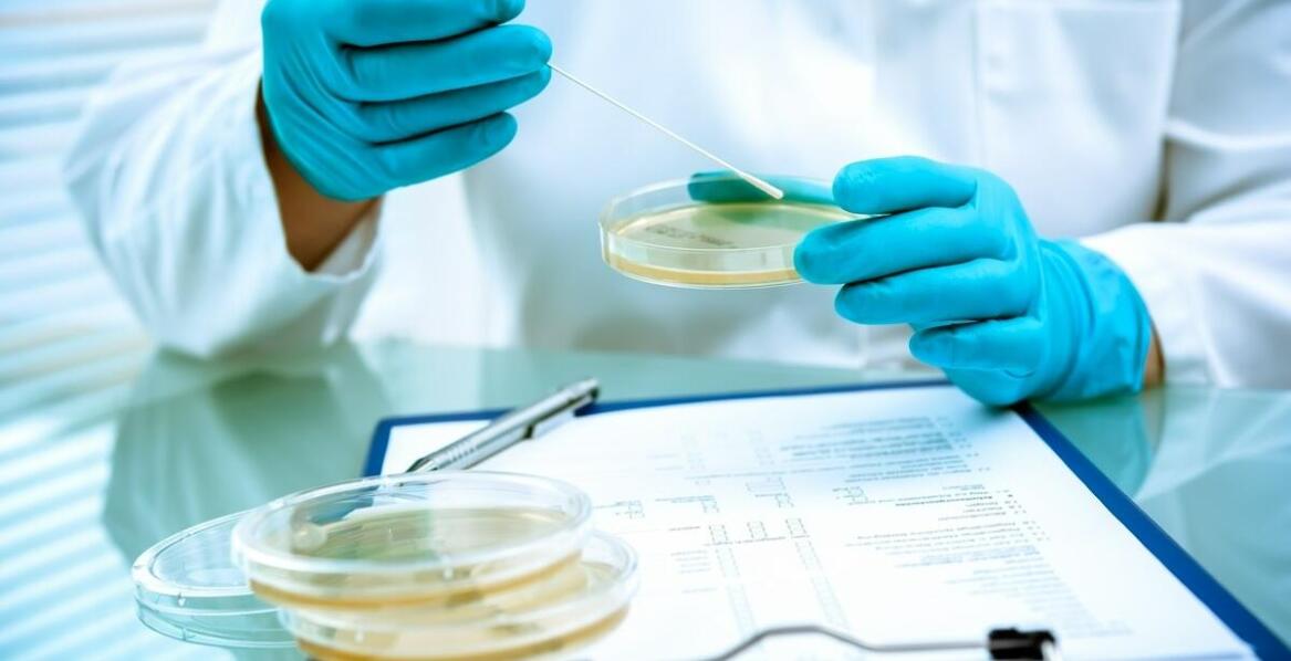 Czym jest ekspertyza mykologiczna i jakie problemy może wykryć w budynkach