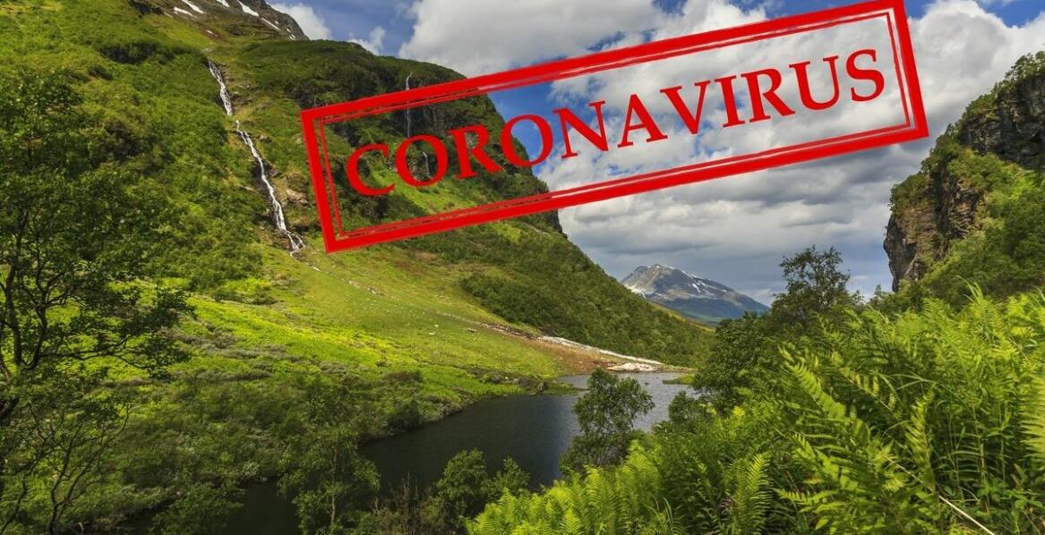 Apiwar – skuteczność i znaczenie w ochronie pszczół przed pasożytami