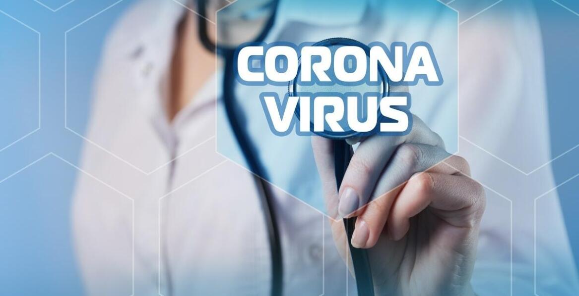 Apiwar – zastosowania i mechanizm działania w ochronie zdrowia pszczół