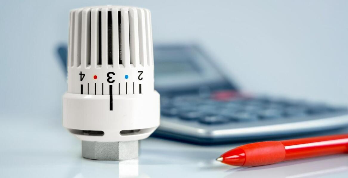 Thymovar – działanie, zastosowanie i rola w ochronie zdrowia pszczół