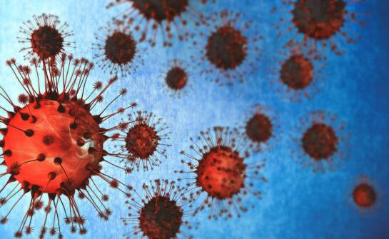 Najskuteczniejsze metody wykrywania i terapii boreliozy – wszystko, co warto wiedzieć