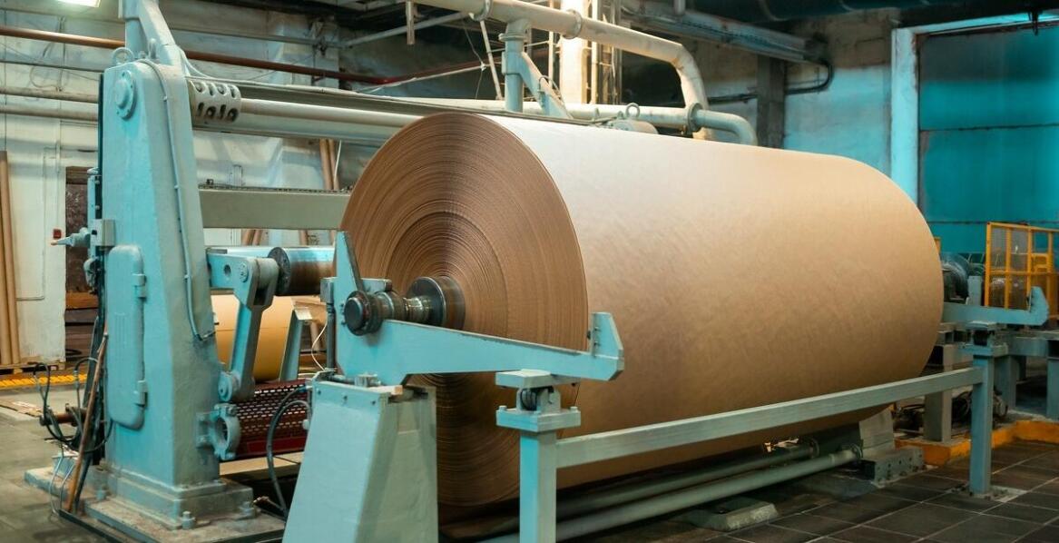 Jak tektura zmienia przemysł? Właściwości, rodzaje i możliwości zastosowań