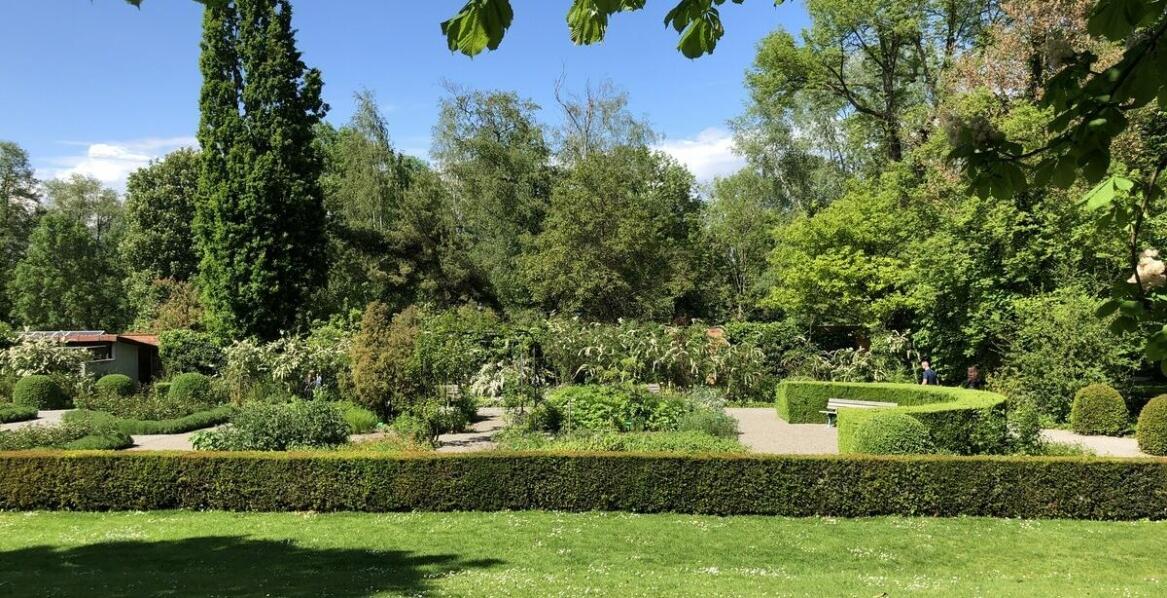 Zastosowanie agregatów w dużych ogrodach i parkach