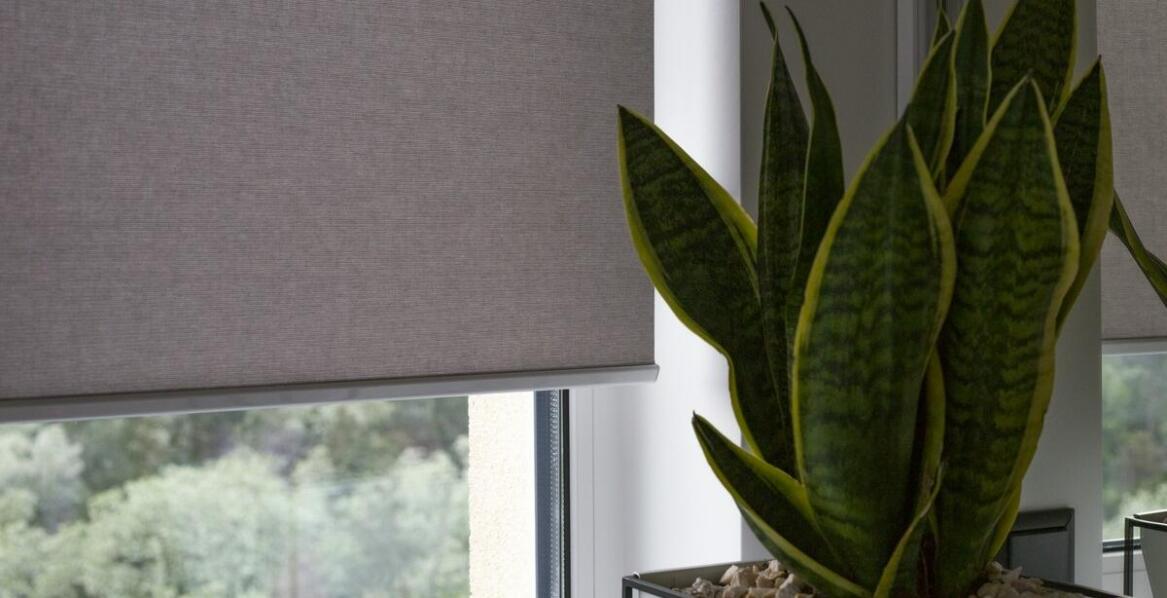 Zalety systemów automatyki w zarządzaniu roletami zewnętrznymi