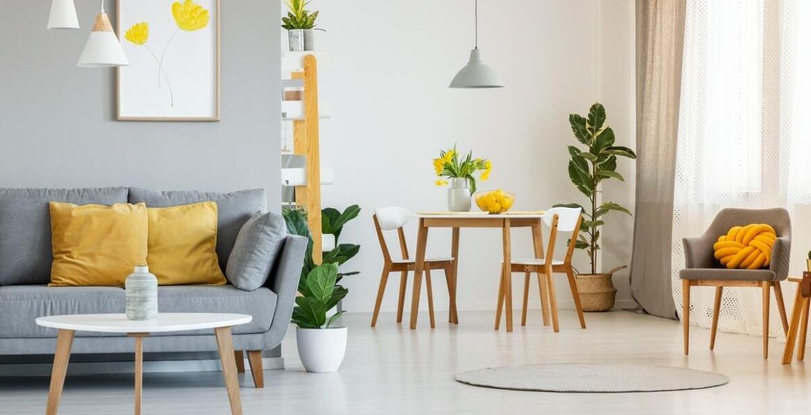 Przewodnik po najciekawszych aranżacjach z użyciem sansevieria trifasciata moonshine