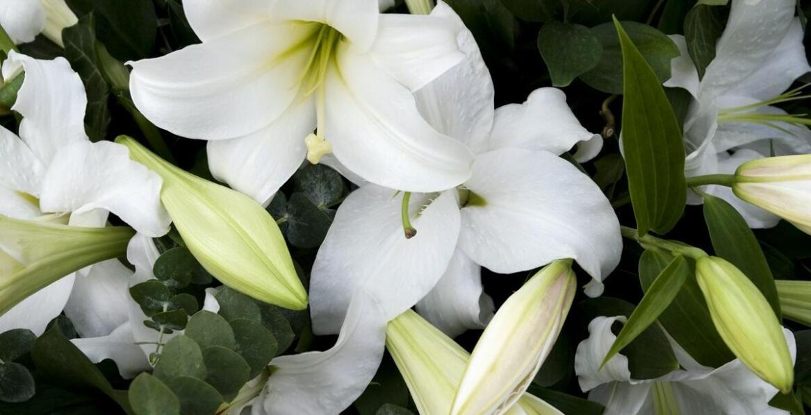 Dlaczego warto korzystać z usług florystycznych zakładu pogrzebowego?