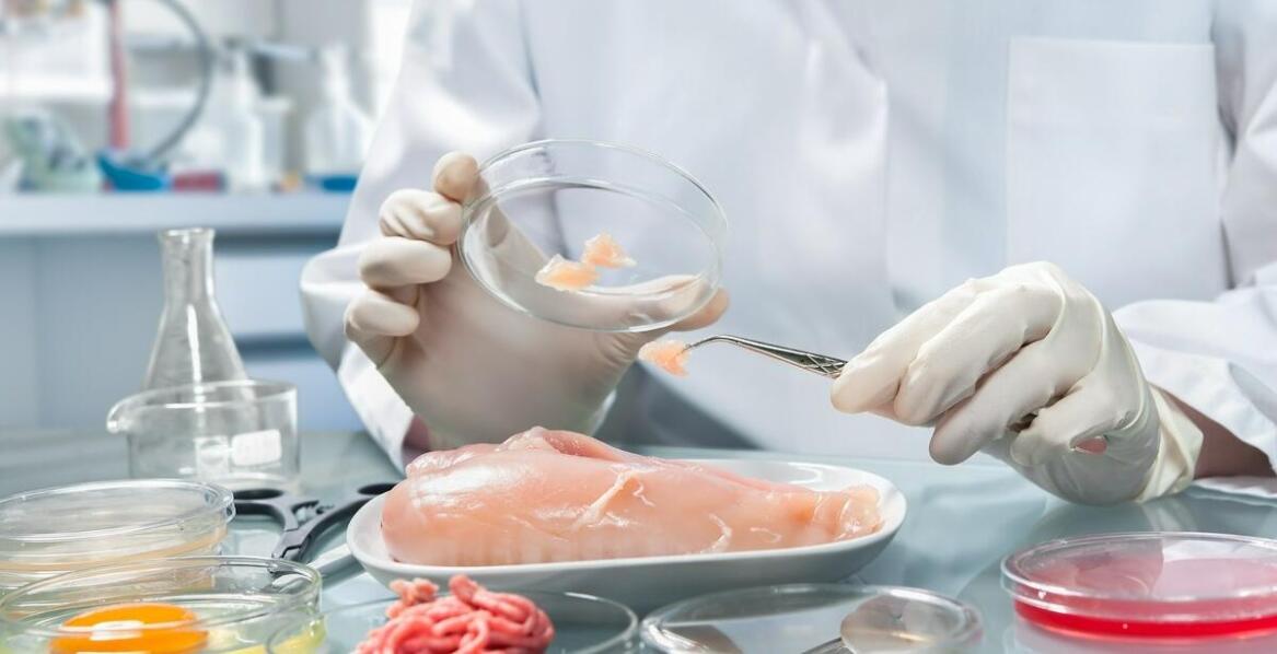 Przesiewanie a optymalizacja receptur produktów spożywczych – jak to działa?