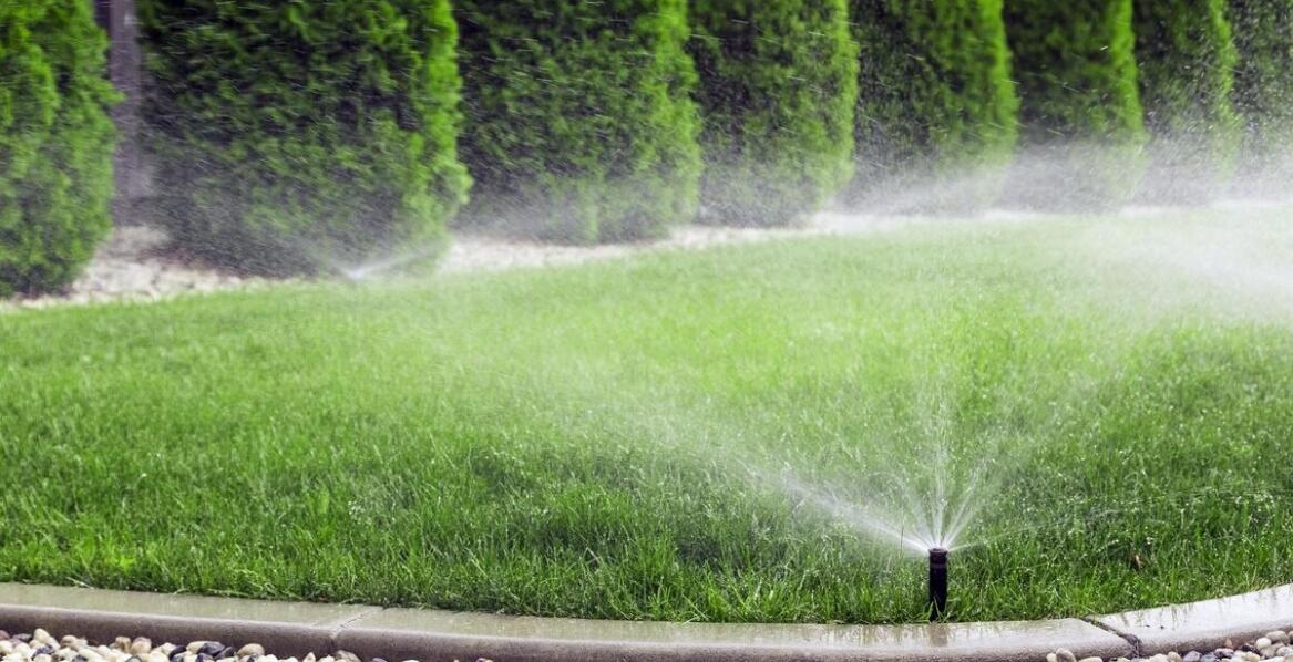 Jakie są kluczowe czynniki w planowaniu harmonogramu nawadniania?