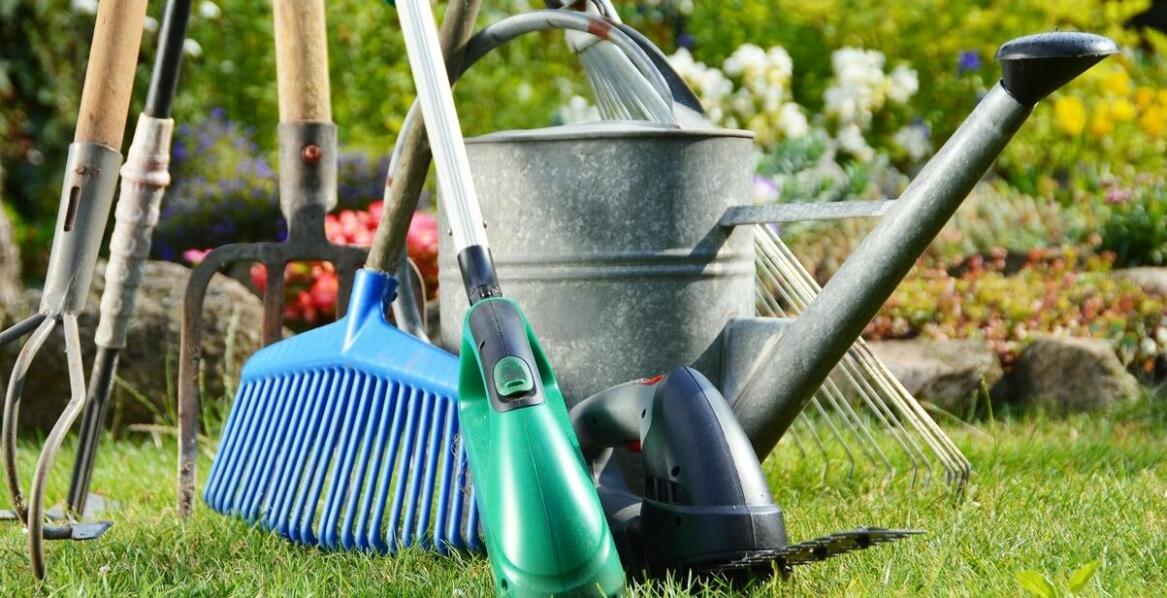 Jakie artykuły ogrodnicze przydadzą się przy budowie skalniaka w ogrodzie?