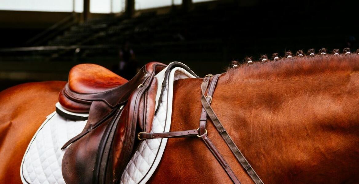 Co powinno się znaleźć w pomieszczeniu do ujeżdżania koni?
