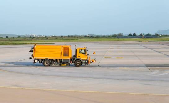Przewóz zwierząt drogą lotniczą: zasady i procedury obsługi