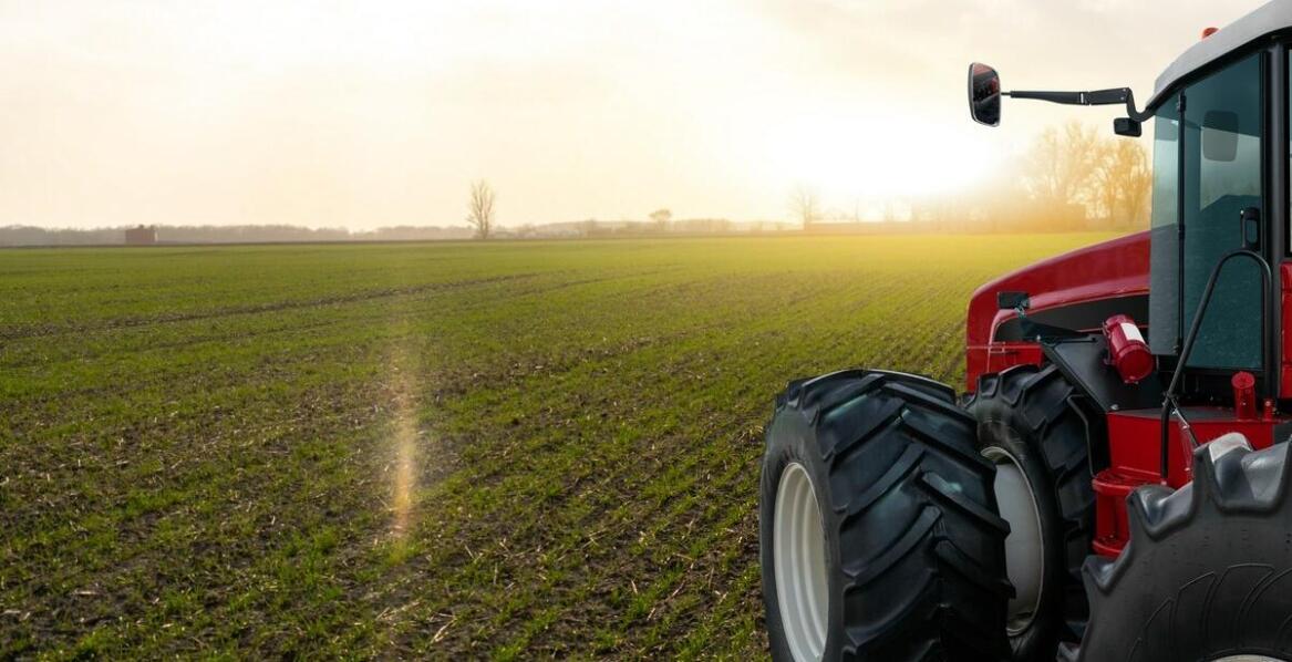 Przewaga kredy nawozowej big bag nad innymi formami nawożenia