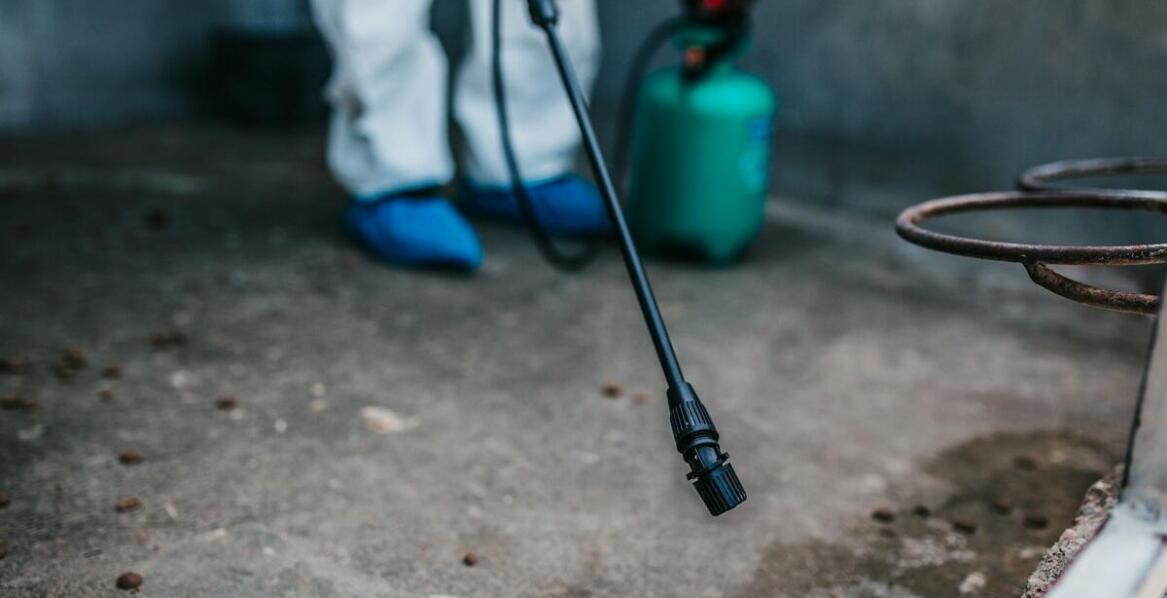 Jakie wyzwania stawia dezynsekcja w Pruszkowie i jak im sprostać?