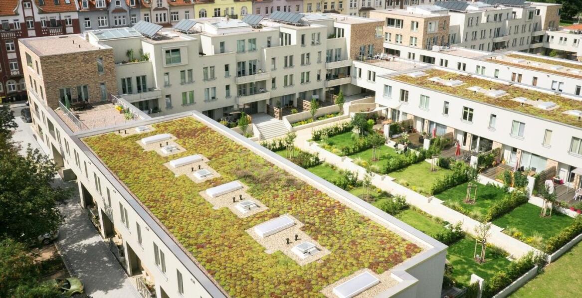 Jak zielone dachy wspierają lokalne inicjatywy ekologiczne?