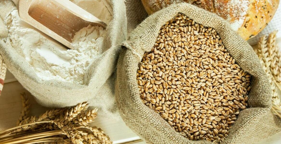 Porównanie zboża: pszenica kontra jęczmień – które wybrać?