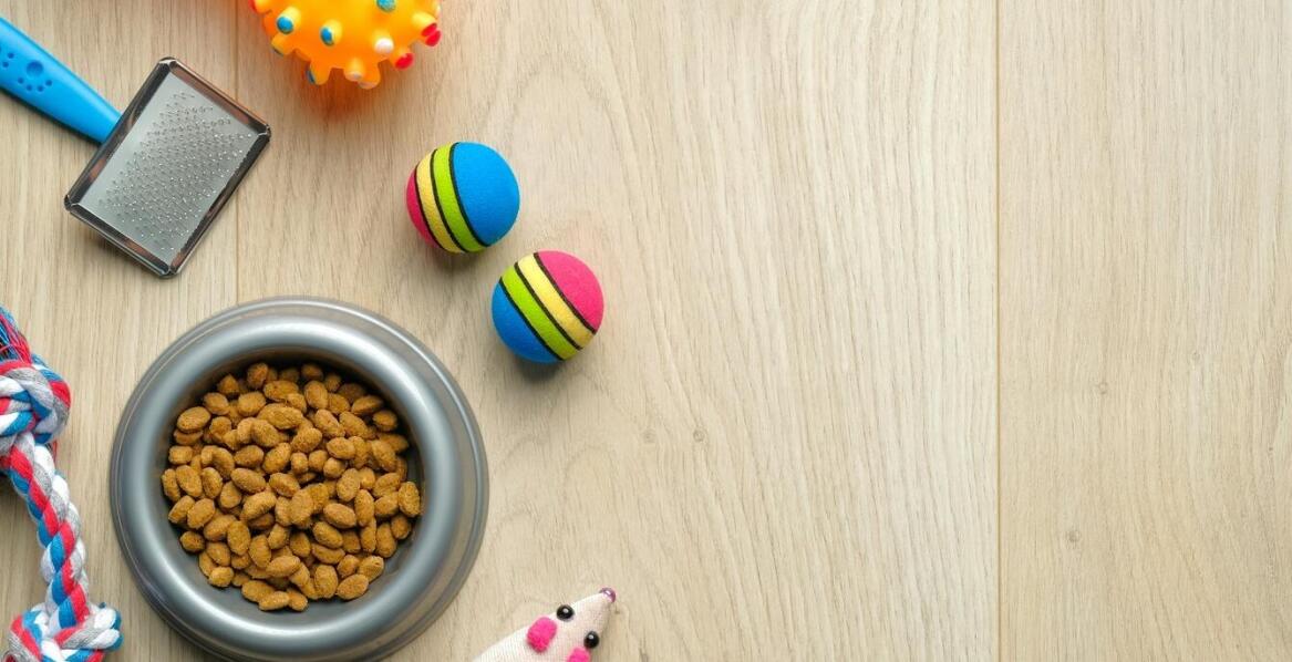 Rola tłuszczów w diecie shih tzu – na co zwrócić uwagę?