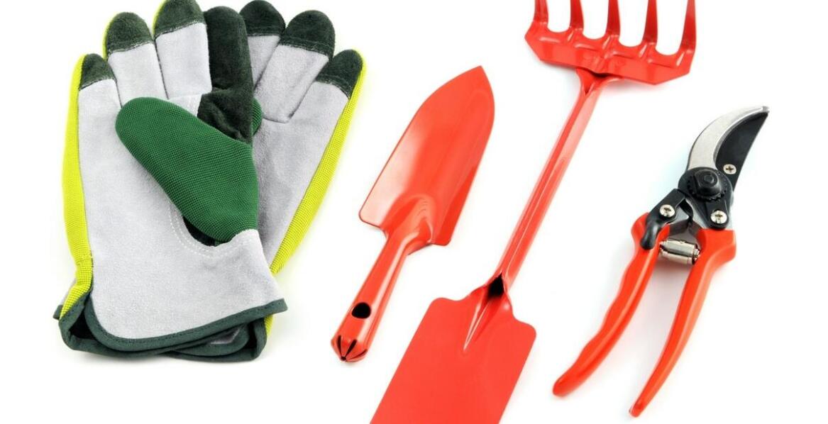 Jakie narzędzia pomogą w pielęgnacji trawnika?