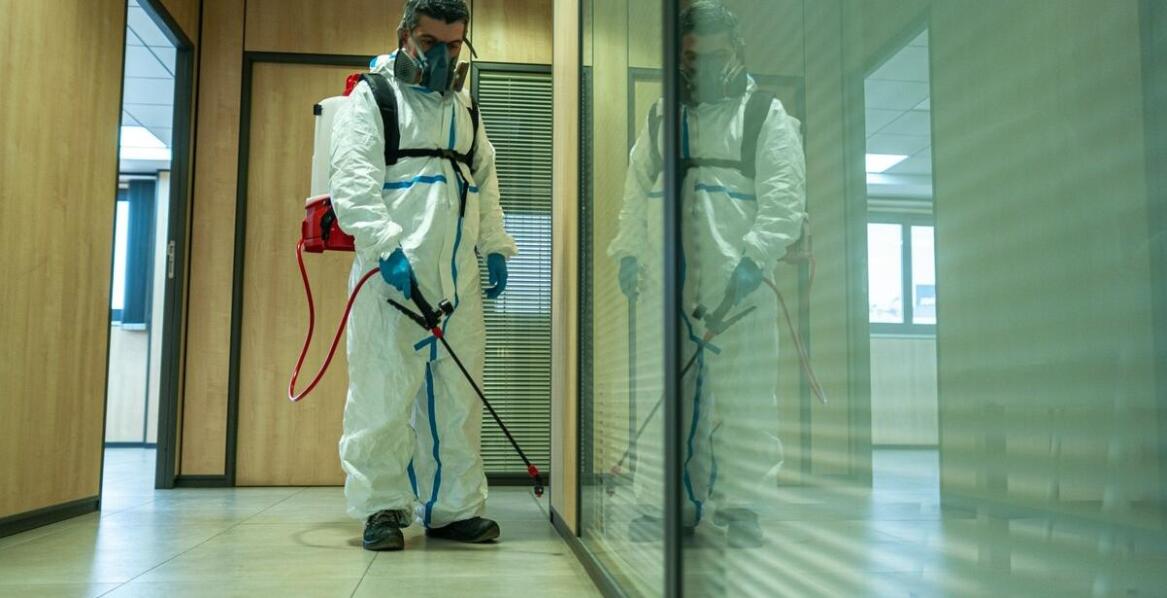 Jak wpływa dezynsekcja na utrzymanie czystości w środowisku pracy?