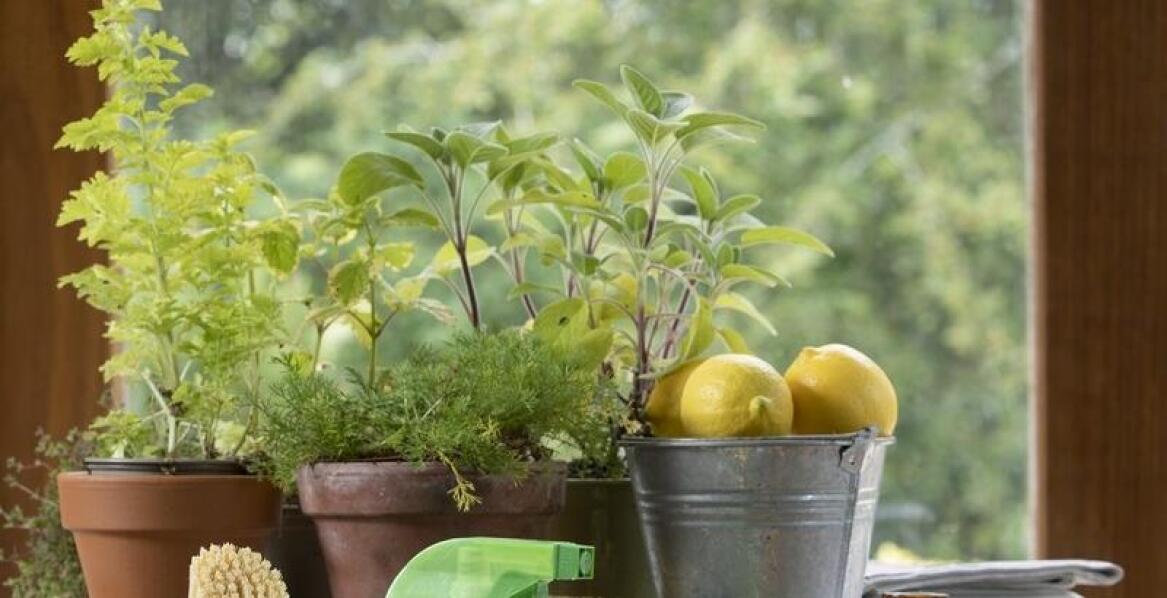 Rola ekologicznych środków w sprzątaniu po remontach
