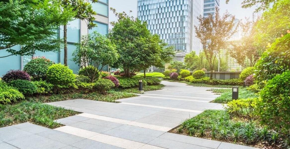 Jak zaplanować przestrzeń zieloną wokół biura dzięki projektowaniu ogrodu online?