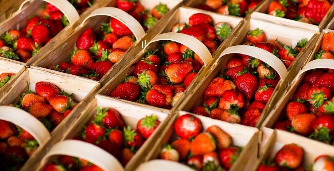 Jak kobiałka na truskawki może wpłynąć na prezentację owoców w sklepie?
