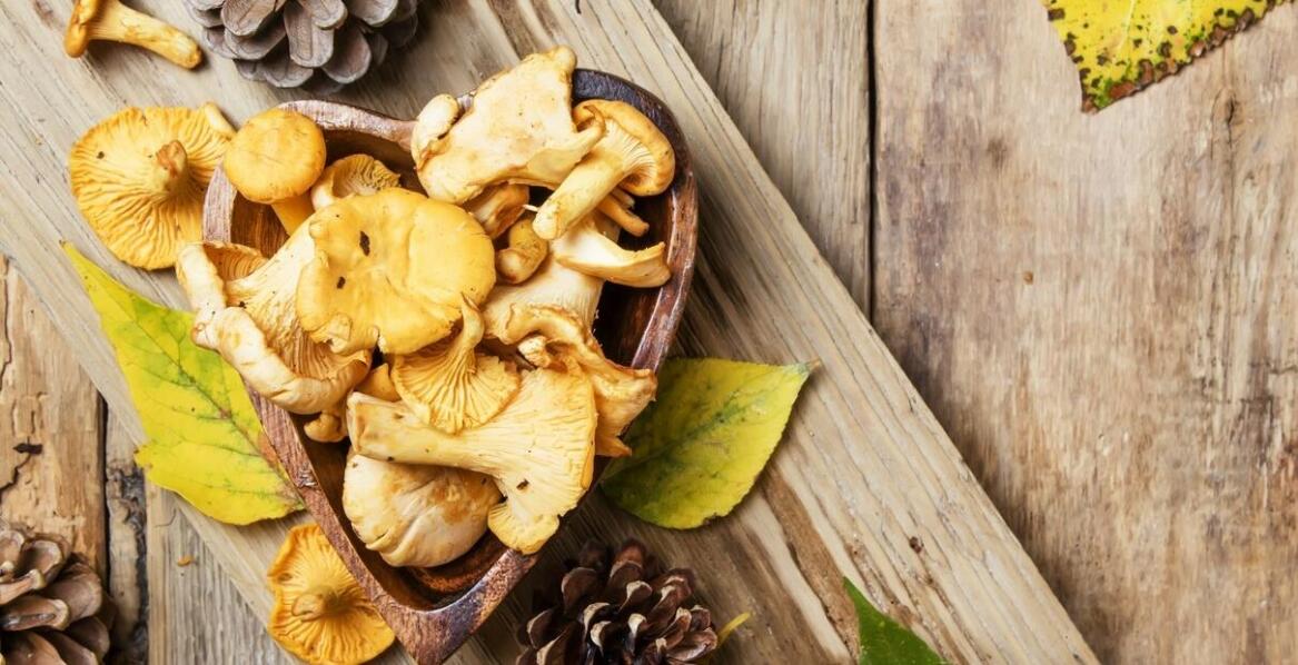 The Impact of Mushroom Quality on Customer Satisfaction in the Gastronomy Sector